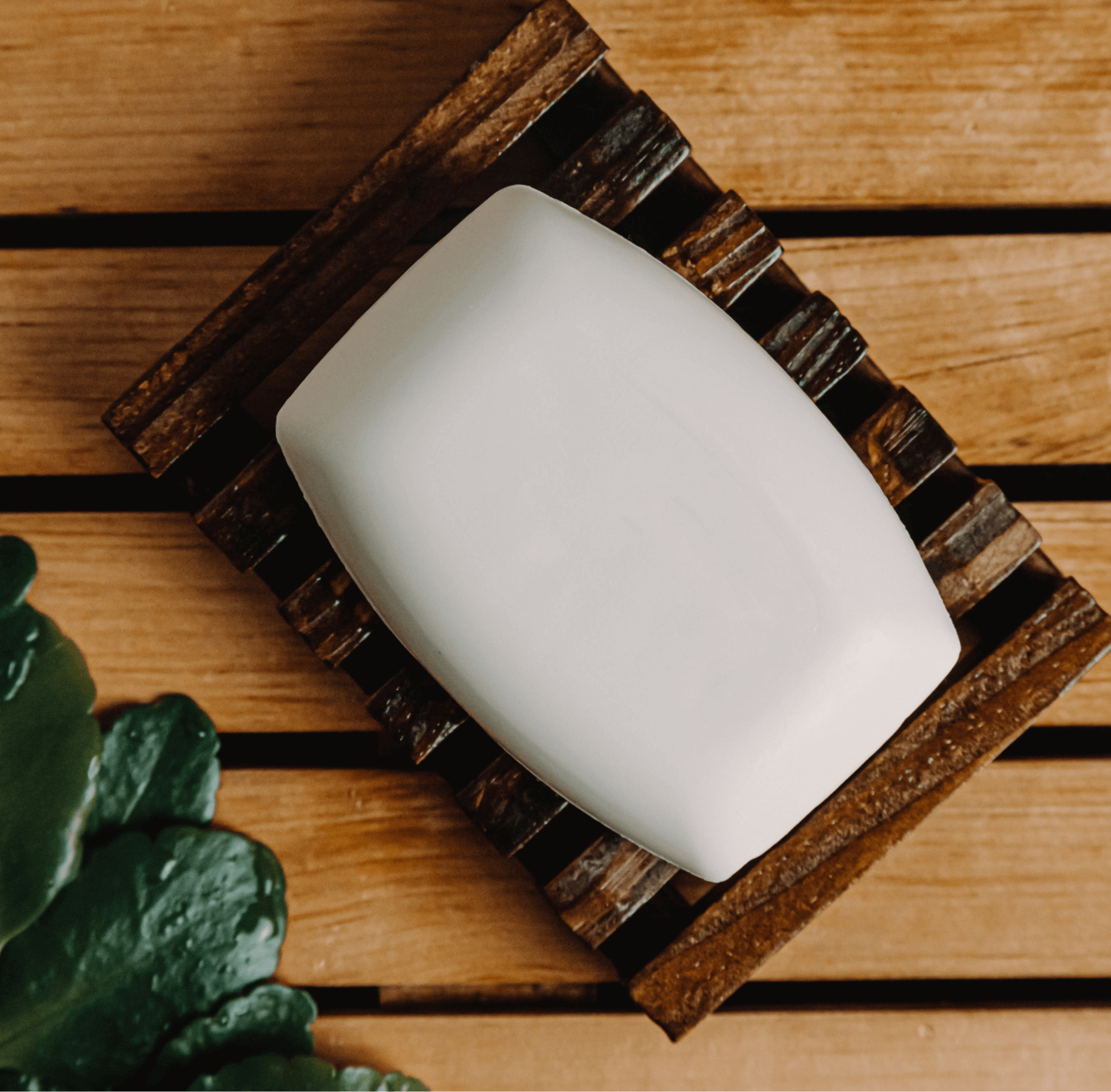 Tropical Coconut Bar Soap 🥥