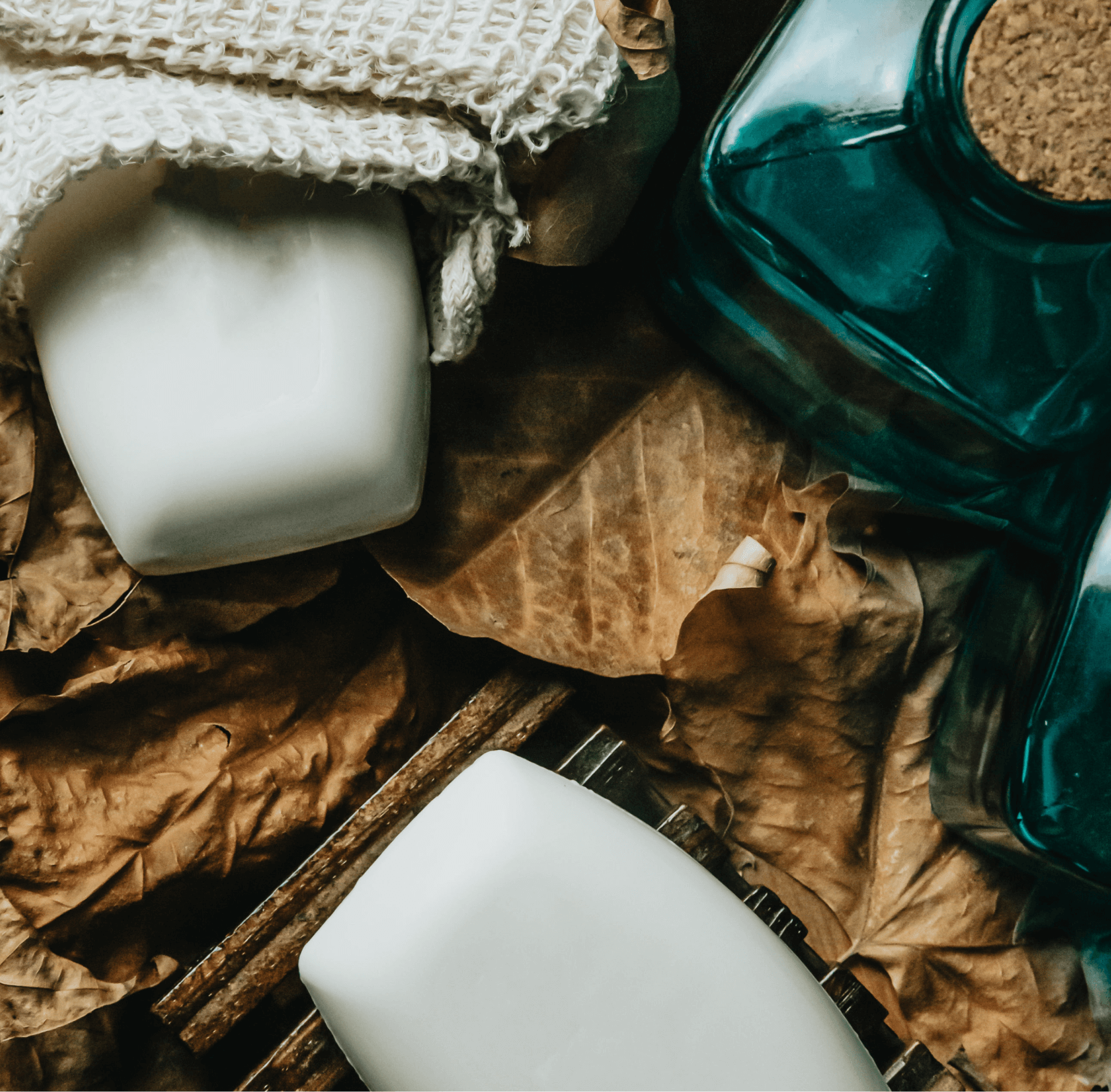 Tropical Coconut Bar Soap 🥥